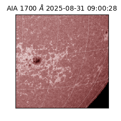 saia - 2025-08-31T09:00:28.717000