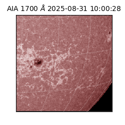 saia - 2025-08-31T10:00:28.717000