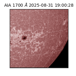 saia - 2025-08-31T19:00:28.717000