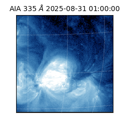 saia - 2025-08-31T01:00:00.633000