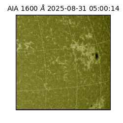 saia - 2025-08-31T05:00:14.125000
