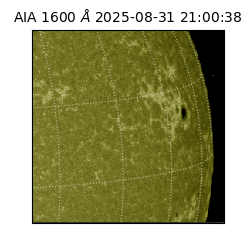 saia - 2025-08-31T21:00:38.126000