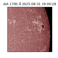 saia - 2025-08-31T19:00:28.717000