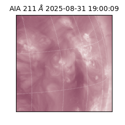 saia - 2025-08-31T19:00:09.629000