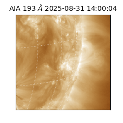 saia - 2025-08-31T14:00:04.842000