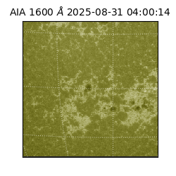 saia - 2025-08-31T04:00:14.126000
