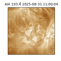 saia - 2025-08-31T11:00:04.843000