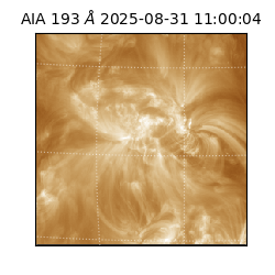 saia - 2025-08-31T11:00:04.843000