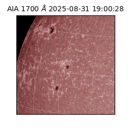 saia - 2025-08-31T19:00:28.717000