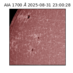 saia - 2025-08-31T23:00:28.718000