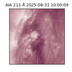saia - 2025-08-31T10:00:09.632000