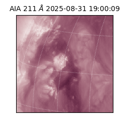 saia - 2025-08-31T19:00:09.629000