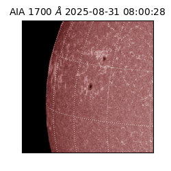 saia - 2025-08-31T08:00:28.718000