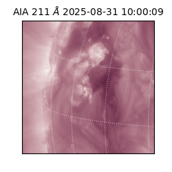 saia - 2025-08-31T10:00:09.632000