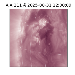 saia - 2025-08-31T12:00:09.632000