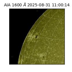 saia - 2025-08-31T11:00:14.126000