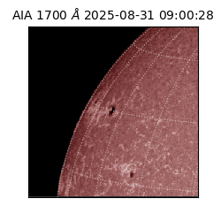 saia - 2025-08-31T09:00:28.717000