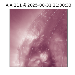 saia - 2025-08-31T21:00:33.626000