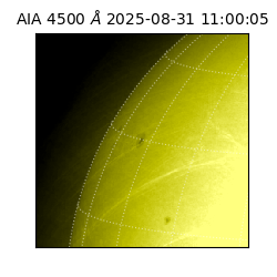 saia - 2025-08-31T11:00:05.966000