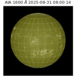 saia - 2025-08-31T08:00:14.134000