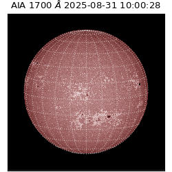 saia - 2025-08-31T10:00:28.717000