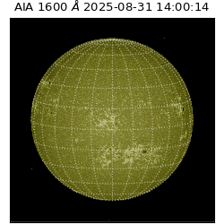 saia - 2025-08-31T14:00:14.126000