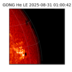 gong - 2025-08-31T01:00:42