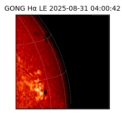 gong - 2025-08-31T04:00:42