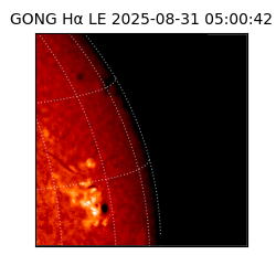 gong - 2025-08-31T05:00:42