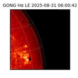 gong - 2025-08-31T06:00:42