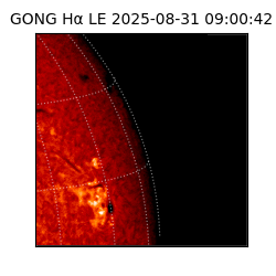 gong - 2025-08-31T09:00:42