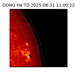 gong - 2025-08-31T11:00:22