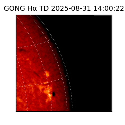 gong - 2025-08-31T14:00:22