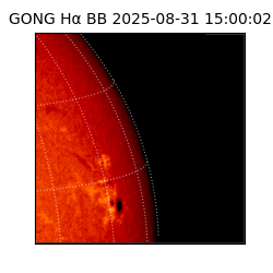 gong - 2025-08-31T15:00:02
