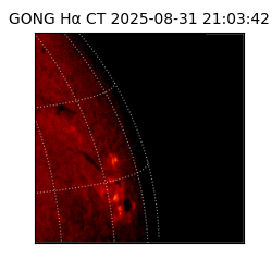 gong - 2025-08-31T21:03:42