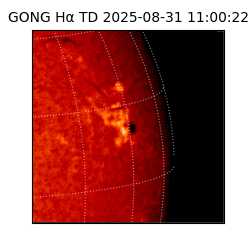 gong - 2025-08-31T11:00:22
