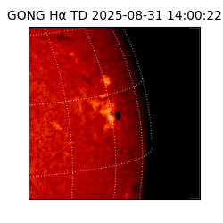 gong - 2025-08-31T14:00:22