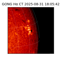 gong - 2025-08-31T18:05:42