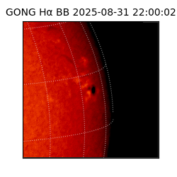 gong - 2025-08-31T22:00:02