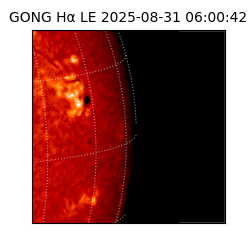gong - 2025-08-31T06:00:42