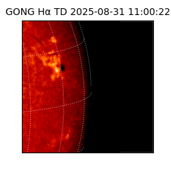 gong - 2025-08-31T11:00:22
