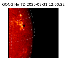 gong - 2025-08-31T12:00:22