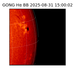gong - 2025-08-31T15:00:02