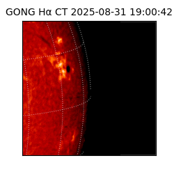 gong - 2025-08-31T19:00:42