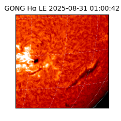 gong - 2025-08-31T01:00:42