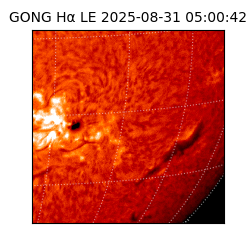 gong - 2025-08-31T05:00:42