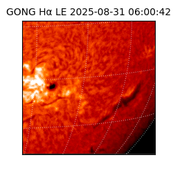 gong - 2025-08-31T06:00:42