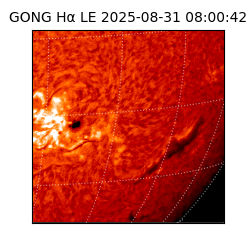 gong - 2025-08-31T08:00:42