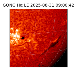 gong - 2025-08-31T09:00:42