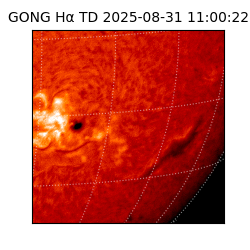 gong - 2025-08-31T11:00:22